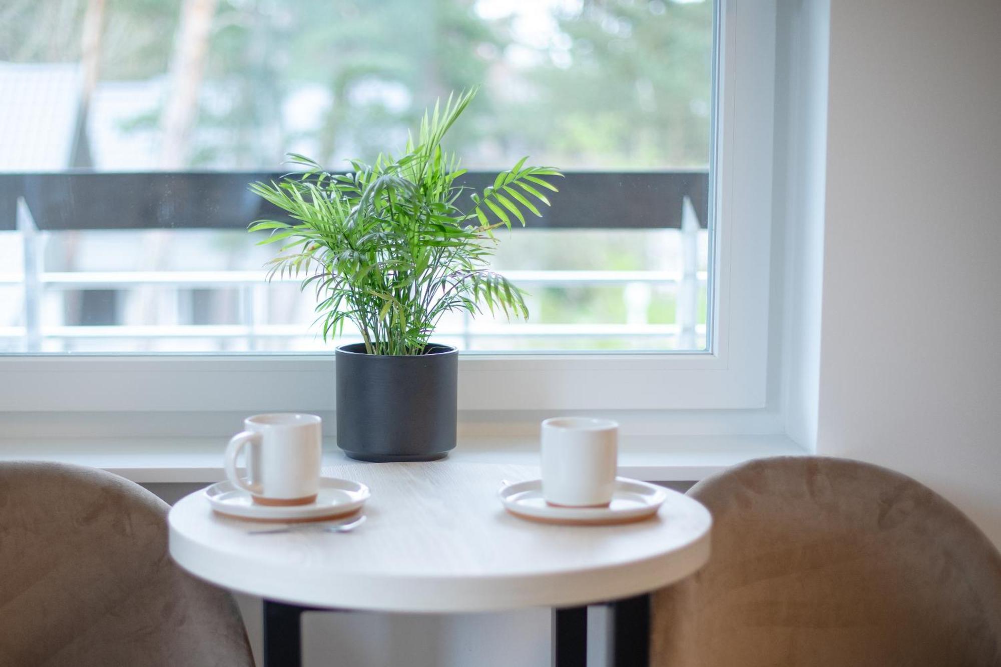 Apartamenty Przy Plazy Z Basenem Z Podgrzewana Woda I Mini Spa - Osrodek Kolonijno-Wczasowy Mewa Нехоже Экстерьер фото